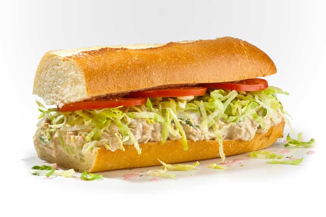 Fish Sub